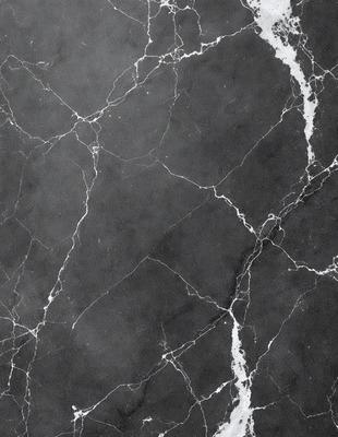 The image features a black and white marble wall with a pattern of white and gray veins. The wall appears to be a part of a building, possibly a bathroom or a kitchen. The overall atmosphere of the image is elegant and sophisticated, with the marble wall serving as a striking focal point.