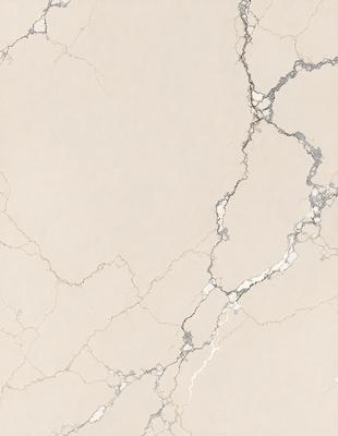 The image features a marble wall with a cracked texture. The primary subject is the marble wall, which is the setting and background of the image. The visual style is a close-up of the marble wall, showcasing its unique texture. The colors and mood of the image are predominantly neutral, with the marble wall being the main focus.