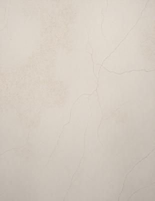 The primary subject of the image is a white wall with a cracked texture. The setting is a room with a white surface, and the visual style is a close-up of the wall. The colors and mood of the image are predominantly white, giving it a clean and minimalist appearance.