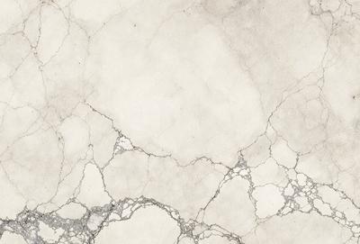 The image features a white marble wall with a pattern of holes and bumps. The wall appears to be textured and has a slightly rough surface. The primary subject of the image is the marble wall, which serves as the main object, scene, or focus of the image. The setting or background is a white marble wall, and the visual style is a close-up of the wall, showcasing its unique texture and pattern. The colors and mood of the image are predominantly white, giving it a clean and