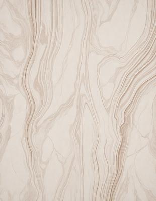 The primary subject of the image is a wall with a unique, textured design. The setting is a room with a white color scheme. The visual style is a combination of a photo and a drawing, creating a distinctive and artistic appearance. The dominant colors are white and beige, giving the wall a clean and elegant look. The overall atmosphere is one of sophistication and modern design.
