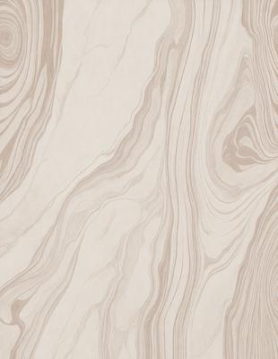 The primary subject of the image is a marble-like surface with a patterned texture. The setting is a room with a wall featuring this unique pattern. The visual style is a close-up of the marble-like surface, showcasing its intricate design. The colors and mood of the image are predominantly neutral, with a focus on the pattern and texture of the marble-like surface.