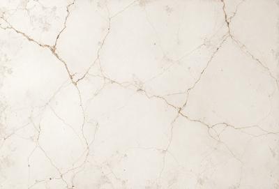 The image features a white marble wall with a rough texture, giving it a unique and natural appearance. The wall is covered in a pattern of small holes, which adds to its distinctive visual appeal. The overall atmosphere of the image is elegant and sophisticated, with the marble wall serving as a striking focal point.