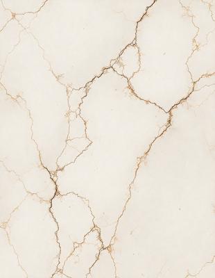 The primary subject of the image is a white marble wall with a cracked and peeling texture. The setting is a room with a white marble floor. The visual style is a close-up of the marble wall, showcasing its unique and aged appearance. The colors and mood of the image are predominantly white, giving it a clean and minimalist feel.