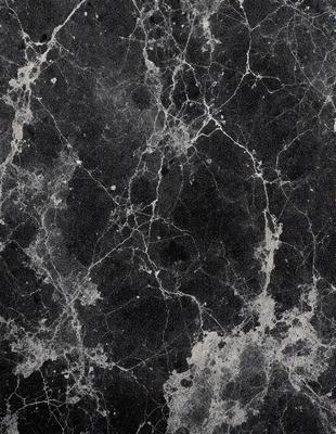 The image features a black and white marble wall with a textured surface. The primary subject is a close-up of the marble wall, showcasing its intricate patterns and textures. The setting is a room with the marble wall as the main focus. The visual style is a realistic representation of the marble wall, capturing its natural beauty. The colors and mood of the image are predominantly black and white, giving it a classic and timeless appearance.