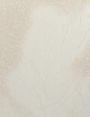 The primary subject of the image is a white wall with a pattern of lines and branches. The setting is a room with a white surface, and the visual style appears to be a combination of a photo and a drawing. The colors and mood of the image are predominantly white, giving it a clean and minimalist appearance.