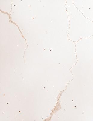 The primary subject of the image is a white wall with a few brown spots. The setting is a room with a white surface, and the visual style appears to be a photo. The colors and mood of the image are predominantly white, with the brown spots adding a touch of warmth and interest to the otherwise plain wall.