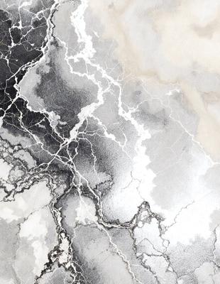 The primary subject of the image is a close-up of a marble surface with a white and black color scheme. The setting is a rocky surface, possibly a wall or a countertop. The visual style is a combination of a photo and a drawing, creating a unique and artistic representation of the marble surface. The colors and mood of the image are predominantly white and black, giving it a clean and elegant appearance.