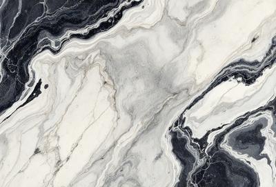 The image features a marble-like surface with a black and white color scheme. The primary subject is a close-up of the marble, showcasing its intricate patterns and textures. The setting is a natural environment, possibly a stone or marble quarry. The visual style is a realistic representation of the marble, capturing its unique features. The colors and mood of the image are predominantly black and white, giving it a classic and timeless appearance.