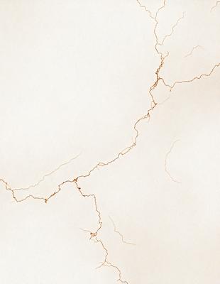 The primary subject of the image is a crack in the wall, which is the main focus of the scene. The setting is a white wall, and the visual style appears to be a photo. The crack in the wall is the primary subject, and the overall atmosphere is somewhat dramatic and moody.