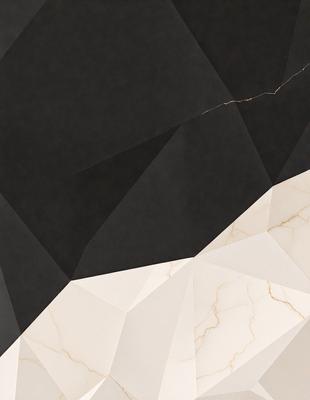 The primary subject of the image is a black and white marble pattern. The setting is a black background, which contrasts with the marble pattern. The visual style is a combination of a photo and digital art, creating a unique and artistic representation of the marble pattern. The colors and mood of the image are predominantly black and white, giving it a classic and elegant appearance.