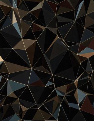 The primary subject of the image is a black and white geometric pattern, which is the main focus of the image. The setting is a black background, which contrasts with the pattern. The visual style is a combination of digital art and illustration, creating a unique and intricate design. The dominant colors are black and white, giving the image a classic and timeless appearance. The overall atmosphere is one of elegance and sophistication.