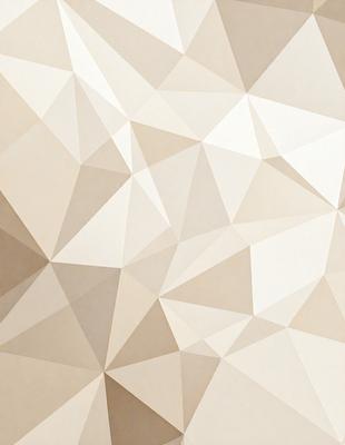 The image features a geometric pattern with a mix of white and tan colors. The pattern is composed of triangles, creating a visually appealing and intricate design. The overall atmosphere of the image is calm and serene, with the focus on the intricate pattern and its harmonious color scheme.