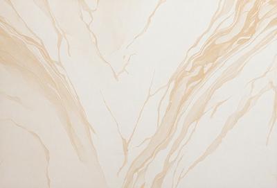 The primary subject of the image is a marble wall with a patterned design. The setting is a room with a white background, which contrasts with the marble wall. The visual style is a close-up of the marble wall, showcasing its intricate pattern. The colors and mood of the image are predominantly neutral, with the marble wall providing a sense of elegance and sophistication.