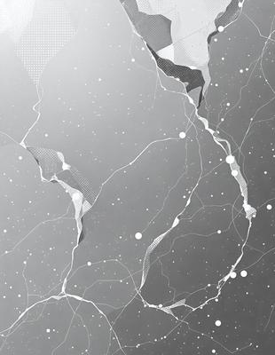 The primary subject of the image is a large, abstract, and artistic representation of a cracked or broken surface. The setting is a black and white background, which adds to the visual style. The image is a digital art piece, showcasing the artist's creativity and skill in crafting intricate patterns and textures. The dominant colors are black and white, giving the image a dramatic and moody atmosphere.