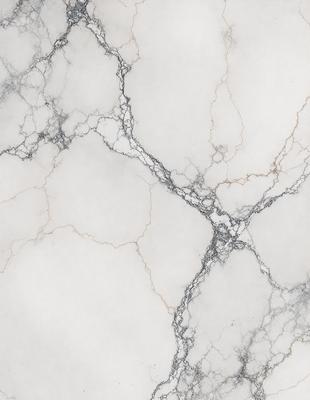 The image features a white marble wall with a pattern of veins and a mottled texture. The wall appears to be a part of a building, possibly a bathroom or a kitchen. The marble wall adds a touch of elegance and sophistication to the space.