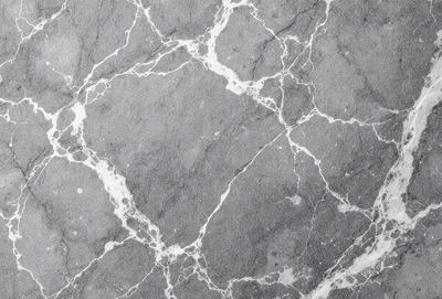 The image features a gray stone wall with a pattern of white and gray spots. The wall appears to be textured and has a slightly rough surface. The overall atmosphere of the image is calm and serene, with the stone wall serving as a striking visual element.