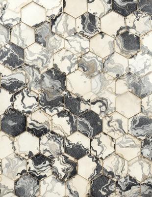 The primary subject of the image is a black and white tile pattern. The setting is a wall with a pattern of black and white tiles. The visual style is a close-up of the tile pattern, showcasing the intricate design. The colors and mood of the image are predominantly black and white, giving it a classic and timeless appearance.