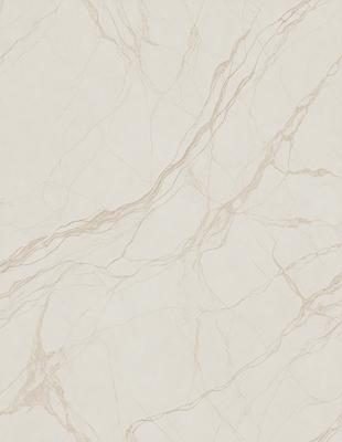 The primary subject of the image is a marble wall with a patterned texture. The setting is a room with a white background. The visual style is a close-up of the marble wall, showcasing its intricate design. The colors and mood of the image are predominantly white, giving it a clean and elegant appearance.