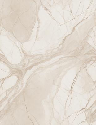 The primary subject of the image is a marble tile with a white and grey color scheme. The setting is a bathroom, as indicated by the presence of the marble tile. The visual style is a close-up of the marble tile, showcasing its texture and pattern. The colors and mood of the image are predominantly neutral, with a touch of elegance and sophistication.