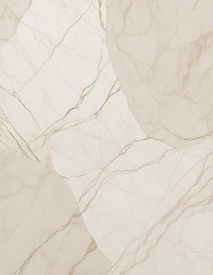 The primary subject of the image is a marble wall with a pattern of veins. The setting is a room with a white background, which highlights the marble wall. The visual style is a close-up of the marble wall, showcasing its texture and pattern. The colors and mood of the image are predominantly white, giving it a clean and elegant appearance.