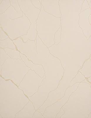 The primary subject of the image is a wall with a pattern of cracks and crevices. The setting is a room with a white color scheme. The visual style is a close-up of the wall, showcasing the intricate details of the cracks. The colors and mood of the image are predominantly white, giving it a clean and minimalist appearance.