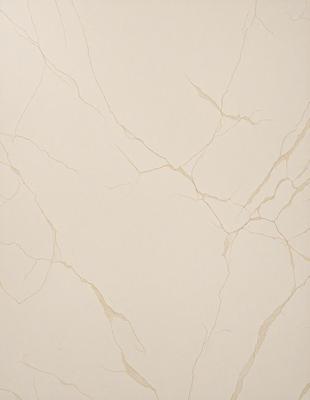 The primary subject of the image is a white marble wall with a pattern of cracks and holes. The setting is a room with a white marble wall as the main focus. The visual style is a close-up of the marble wall, showcasing its unique texture and pattern. The colors and mood of the image are predominantly white, giving it a clean and minimalist appearance.