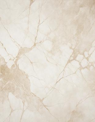 The primary subject of the image is a marble wall with a white and brown color scheme. The setting is a room with a white background, and the visual style is a close-up of the marble wall. The colors and mood of the image are warm and natural, with the marble wall providing a sense of elegance and sophistication.