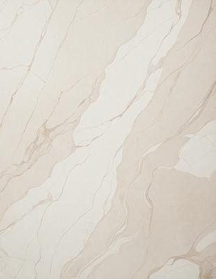 The image features a marble wall with a patterned design. The wall is made of marble, giving it a luxurious and elegant appearance. The pattern on the wall adds visual interest and depth to the overall design. The marble wall is the primary subject of the image, and it is set against a neutral background, which allows the pattern to stand out. The visual style of the image is a close-up of the marble wall, showcasing its intricate details and texture. The colors and mood of the image