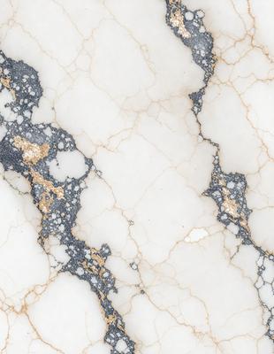 The primary subject of the image is a marble wall with a white and gold color scheme. The setting is a room with a white marble surface, which adds to the overall atmosphere. The visual style of the image is a close-up of the marble wall, showcasing its intricate patterns and textures. The colors and mood of the image are elegant and sophisticated, with the white marble providing a clean and timeless appearance.