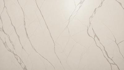 The primary subject of the image is a white marble wall with a pattern of veins. The setting is a room with a white marble floor. The visual style is a photo of the marble wall. The colors and mood are predominantly white, giving the room a clean and elegant appearance.
