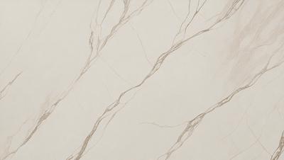 The primary subject of the image is a marble wall with a pattern of branches. The setting is a room with a white background. The visual style is a photo of the marble wall. The colors and mood of the image are predominantly white, giving it a clean and elegant appearance.
