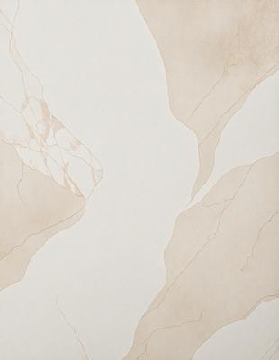 The primary subject of the image is a white wall with a pattern of rocks and water. The setting is a room with a rock wall, and the visual style is a combination of a photo and a drawing. The colors and mood of the image are predominantly neutral, with a touch of earthy tones from the rocks and water.