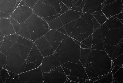The primary subject of the image is a black background with a pattern of white lines or web-like structures. The setting appears to be a dark room, and the visual style is a close-up of the pattern. The dominant colors are black and white, creating a moody and mysterious atmosphere.