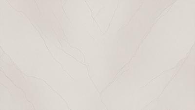 The primary subject of the image is a wall with a pattern of tree branches. The setting is a room with a white background. The visual style is a photo of a wall with a pattern of tree branches. The colors and mood are predominantly white, giving the image a clean and minimalist appearance.
