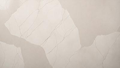The primary subject of the image is a white marble wall with a rough texture. The setting is a room with a white background. The visual style is a photo of the marble wall. The colors and mood of the image are predominantly white, giving it a clean and minimalist appearance.