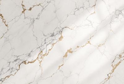 The primary subject of the image is a marble wall with a gold-colored pattern. The setting is a room with a white marble floor. The visual style is a photo of the marble wall, showcasing the intricate gold pattern. The colors and mood of the image are predominantly white and gold, creating a luxurious and elegant atmosphere.
