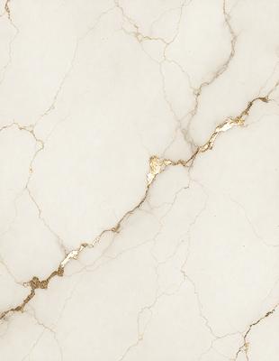 The primary subject of the image is a marble wall with a gold-colored line running through it. The setting is a white marble surface, and the visual style is a close-up of the marble wall. The colors and mood of the image are predominantly white and gold, creating a luxurious and elegant atmosphere.