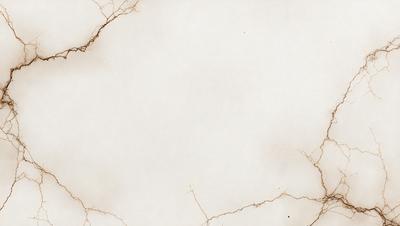 The primary subject of the image is a white background with a few black lines. The setting is a white wall, and the visual style appears to be a combination of a photo and a drawing. The colors are predominantly white and black, creating a clean and minimalist atmosphere.