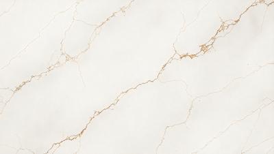 The primary subject of the image is a white marble wall with gold veins. The setting is a room with a white marble floor. The visual style is a close-up of the marble wall, showcasing its unique texture and design. The colors and mood of the image are predominantly white and gold, creating a sense of elegance and sophistication.