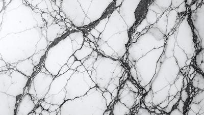 The image features a marble countertop with a white and black pattern. The countertop appears to be a part of a kitchen or bathroom setting. The visual style of the image is a close-up of the marble countertop, showcasing its unique texture and pattern. The colors in the image are predominantly black and white, giving the scene a clean and elegant appearance.