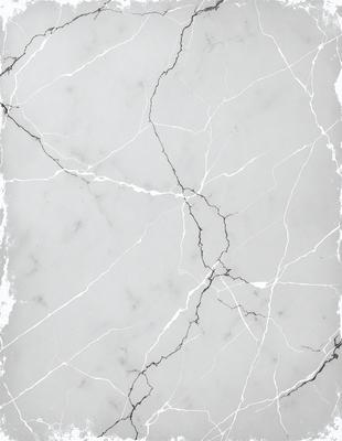 The primary subject of the image is a white marble wall with visible cracks and crevices. The setting is a room with a white marble floor. The visual style is a black and white photo, which adds a sense of timelessness and elegance to the scene. The colors and mood are predominantly dark and moody, with the white marble serving as a striking contrast against the black and white background.