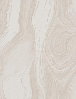 The primary subject of the image is a patterned wallpaper with a marble-like texture. The setting is a room with a patterned wallpaper, which creates a unique and visually appealing environment. The visual style of the image is a close-up of the wallpaper, showcasing its intricate design and texture. The colors and mood of the image are predominantly neutral, with a focus on the marble-like pattern and texture, which gives the room a sophisticated and elegant atmosphere.