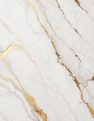 The primary subject of the image is a marble wall with gold accents. The setting is a room with a white marble surface. The visual style is a close-up of the marble wall, showcasing the gold accents and the marble texture. The colors and mood of the image are predominantly white and gold, creating a luxurious and elegant atmosphere.