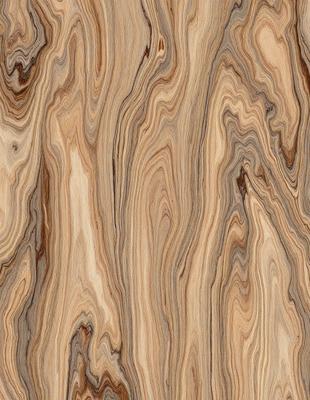 The primary subject of the image is a wooden surface with a unique and intricate pattern. The setting is a close-up view of the wooden surface, showcasing the details of the pattern. The visual style is a close-up of the wooden surface, which gives a sense of depth and texture. The colors and mood of the image are predominantly brown and earthy tones, creating a warm and natural atmosphere.
