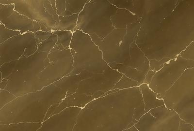 The primary subject of the image is a marble wall with a brown and gold color scheme. The setting is a room with a brown and gold color scheme. The visual style is a photo of a marble wall. The colors and mood of the image are warm and inviting.