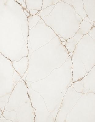 The image features a white marble wall with a pattern of holes and cracks. The wall appears to be a part of a building, possibly a bathroom or a kitchen. The marble surface gives the wall a unique and elegant appearance. The overall atmosphere of the image is clean and sophisticated, with the white marble wall serving as a striking focal point.