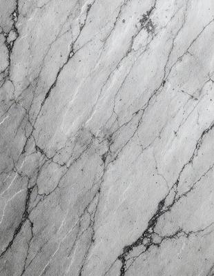The primary subject of the image is a marble surface with a pattern of white and gray. The setting is a marble countertop, and the visual style is a close-up of the marble surface. The colors and mood of the image are predominantly white and gray, giving it a clean and elegant appearance.