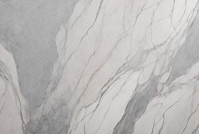 The primary subject of the image is a marble wall with a patterned texture. The setting is a room with a gray background. The visual style is a close-up of the marble wall, showcasing its unique texture. The colors and mood of the image are predominantly gray, giving it a calm and sophisticated atmosphere.