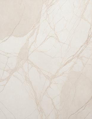 The primary subject of the image is a marble wall with a patterned texture. The setting is a room with a white background. The visual style is a close-up of the marble wall, showcasing its intricate design. The colors and mood of the image are predominantly white, giving it a clean and elegant appearance.